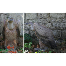 Natur Foam VULTURE